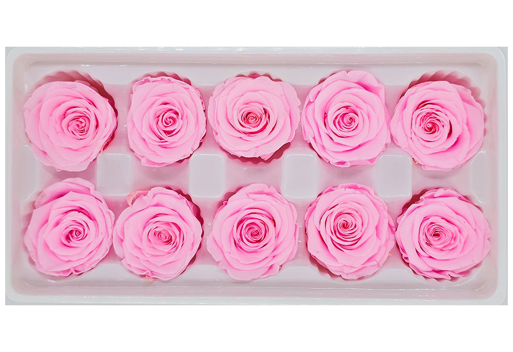 Wholesale Preserved Roses | 10 Roses In A Box - Bright Pink Colour ...