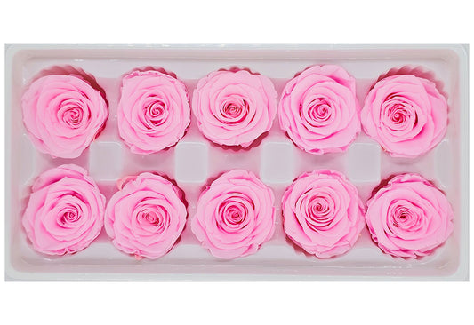 10 Preserved Roses In A Box - Bright Pink