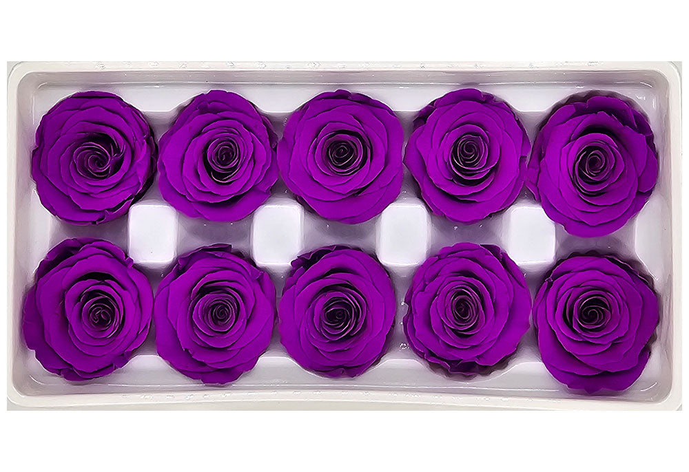 10 Preserved Roses In A Box - Bright Purple