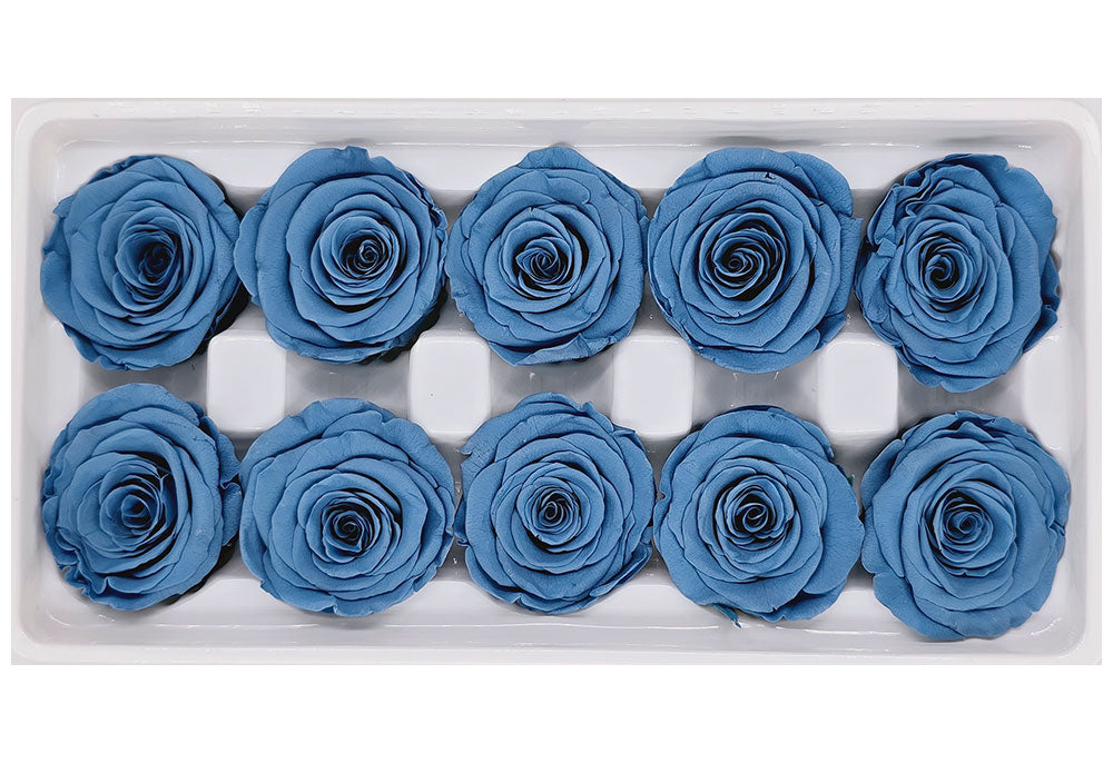 Wholesale Preserved Roses | 10 Roses In A Box - Dark Dusty Blue Colour ...