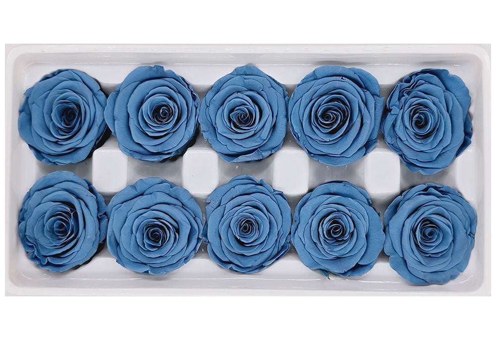 10 Preserved Roses In A Box - Dark Dusty Blue