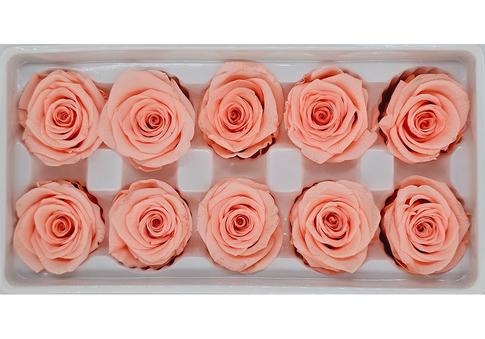 10 Preserved Roses In A Box - Dark Peach