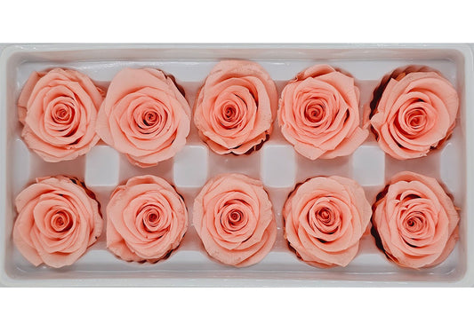 10 Preserved Roses In A Box - Dark Peach