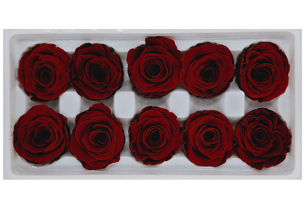 10 Preserved Roses In A Box - Dark Red