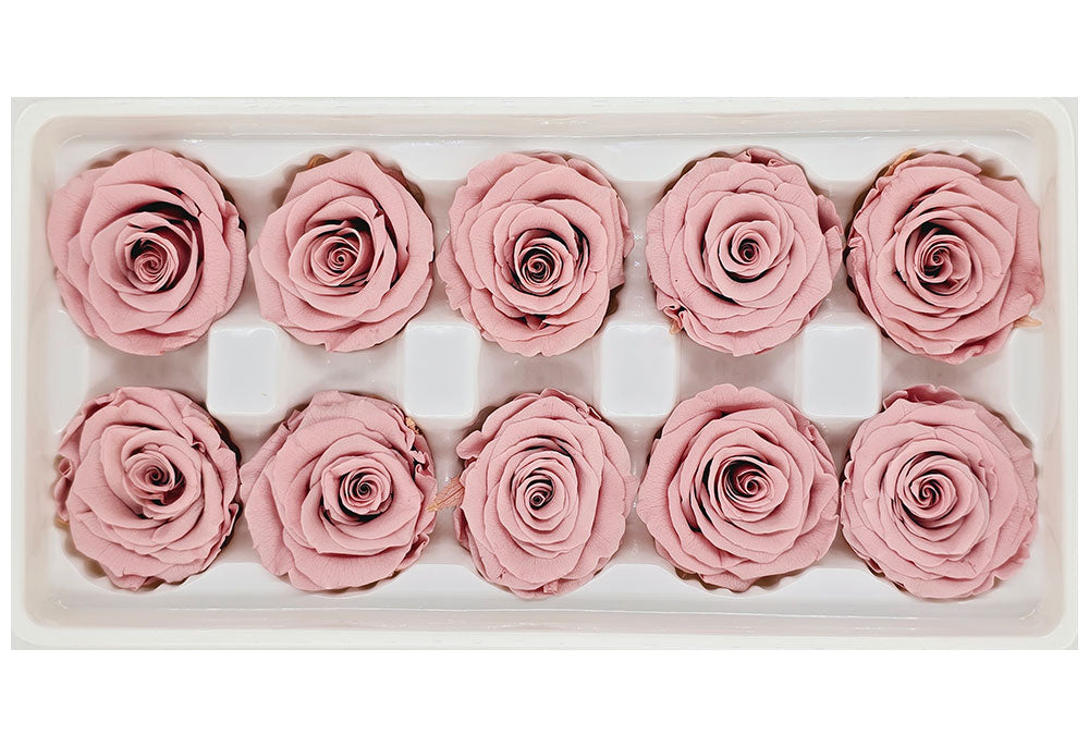 10 Preserved Roses In A Box - Dusty Pink