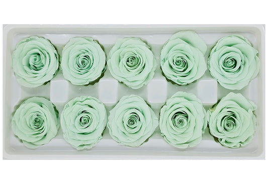 10 Preserved Roses In A Box - Light Green