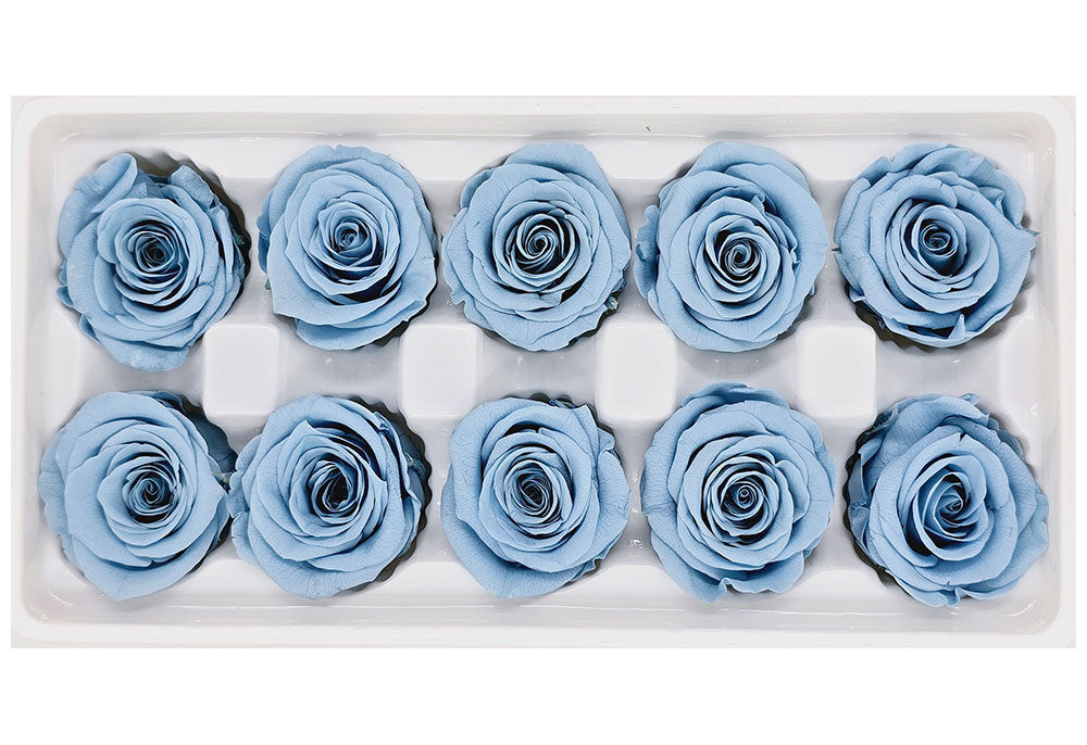 10 Preserved Roses In A Box - Light Dusty Blue