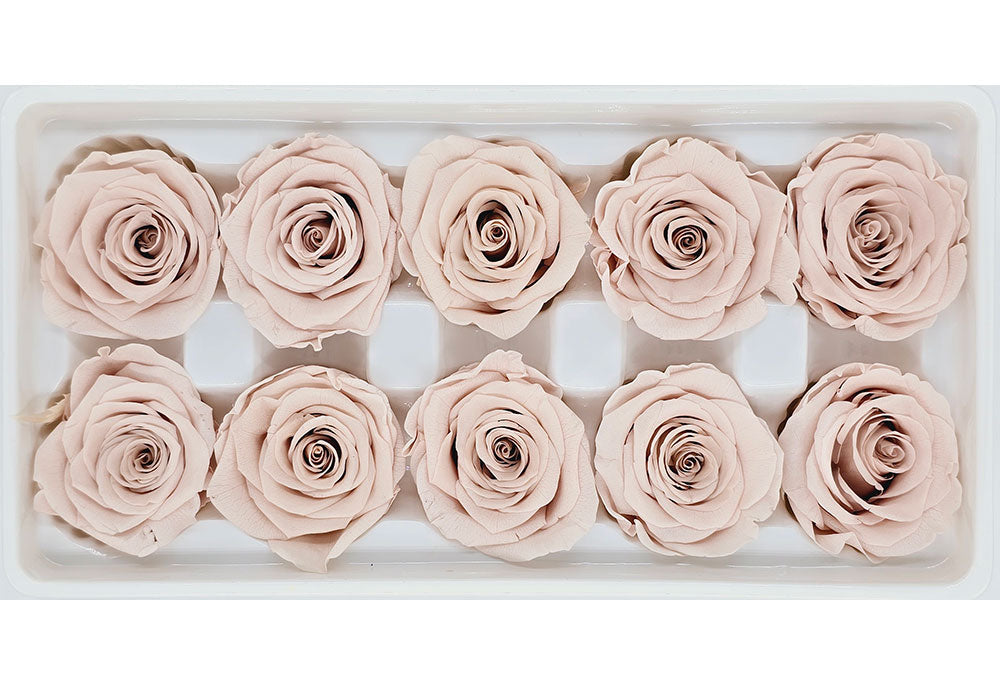 10 Preserved Roses In A Box - Light Nude Pink