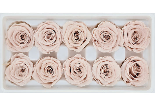 10 Preserved Roses In A Box - Light Nude Pink