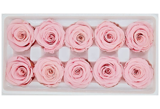 10 Preserved Roses In A Box - Light Pink