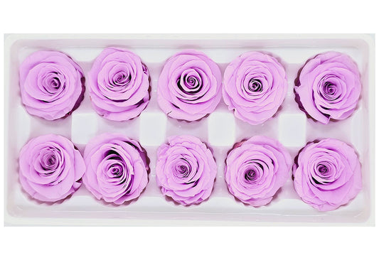 10 Preserved Roses In A Box - Light Purple