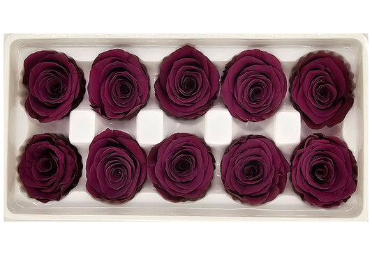 10 Preserved Roses In A Box - Maroon