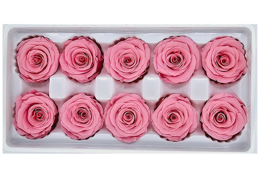 10 Preserved Roses In A Box - Medium Pink