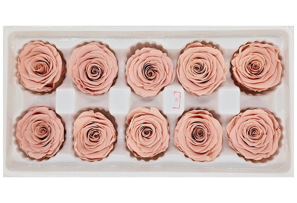 10 Preserved Roses In A Box - Nude Pink