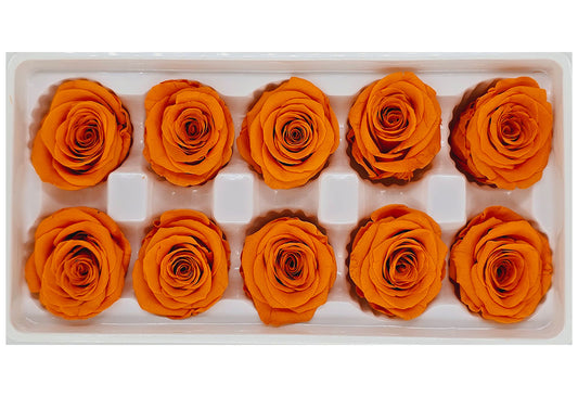 10 Preserved Roses In A Box - Orange