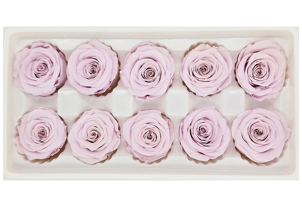 10 Preserved Roses In A Box - Pale Purple