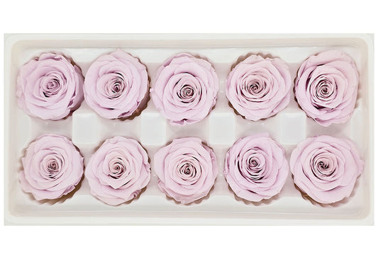 10 Preserved Roses In A Box - Pale Purple