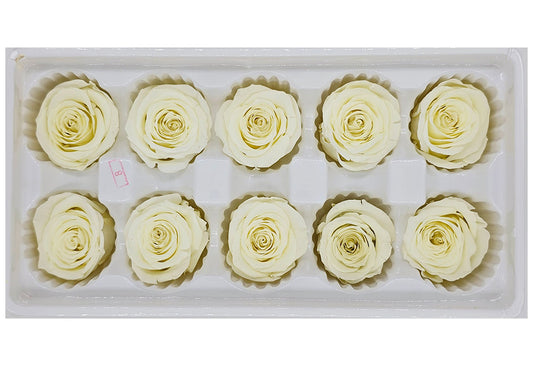 10 Preserved Roses In A Box - Pale Yellow