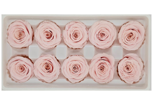 10 Preserved Roses In A Box - Peachy Pink