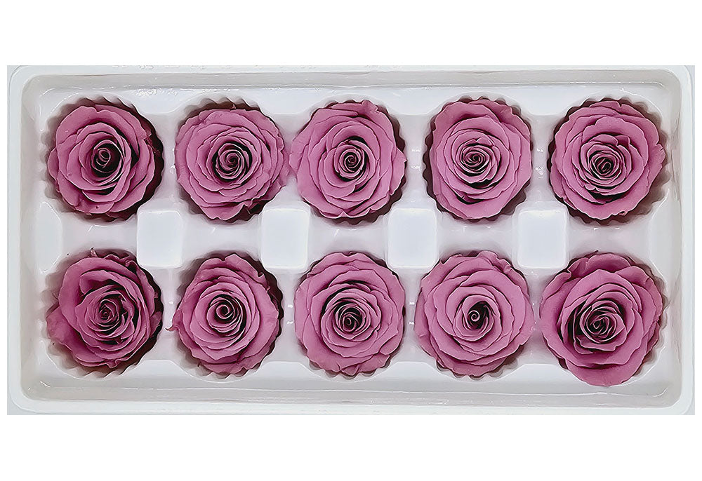 10 Preserved Roses In A Box - Pinkish Purple