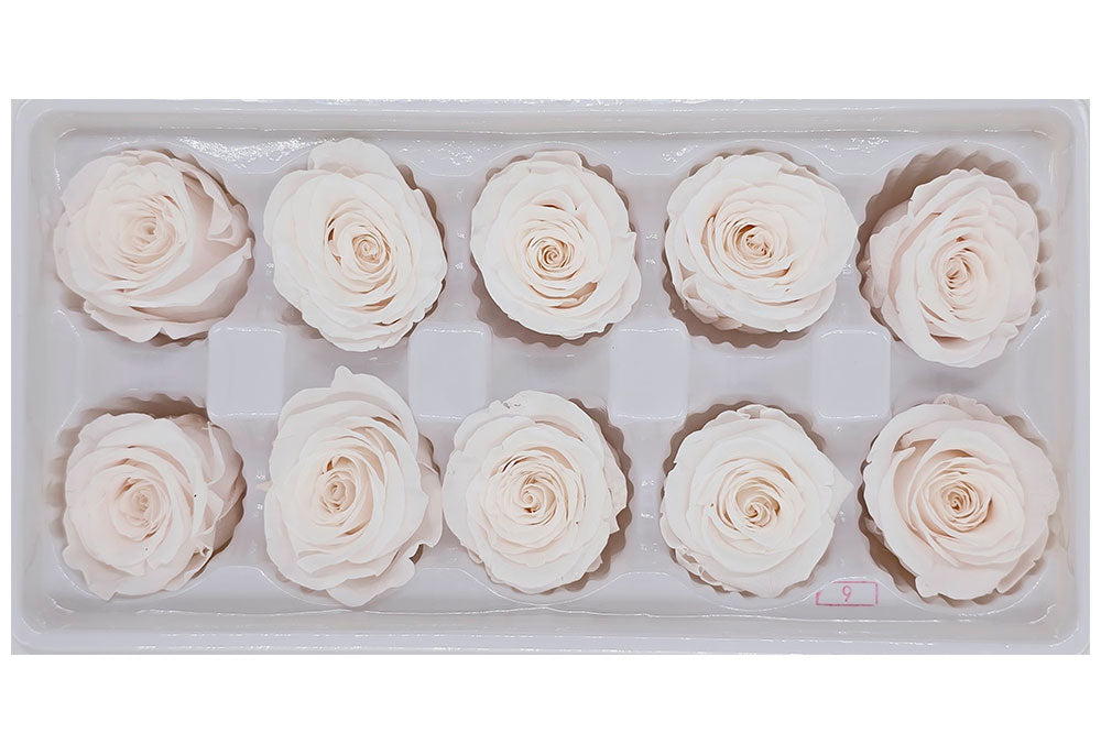 10 Preserved Roses In A Box - Pinkish White