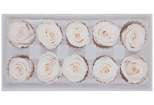 10 Preserved Roses In A Box - Pinkish White