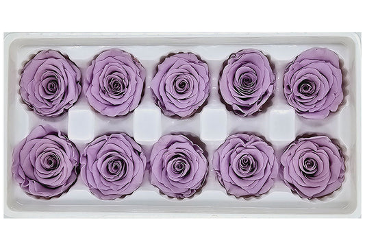 10 Preserved Roses In A Box - Purple