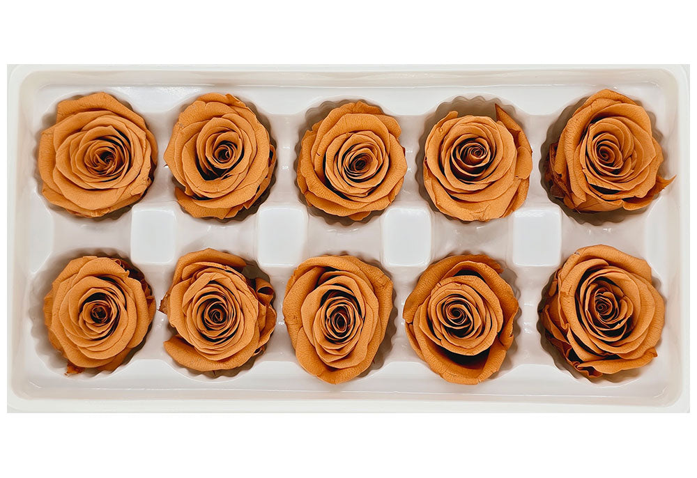 10 Preserved Roses In A Box - Retro Orange