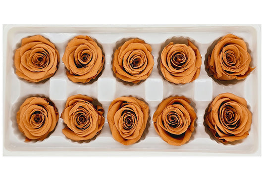 10 Preserved Roses In A Box - Retro Orange