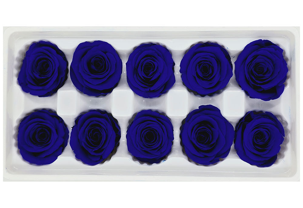 10 Preserved Roses In A Box - Sapphire