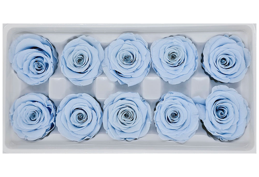 10 Preserved Roses In A Box - Sky Blue