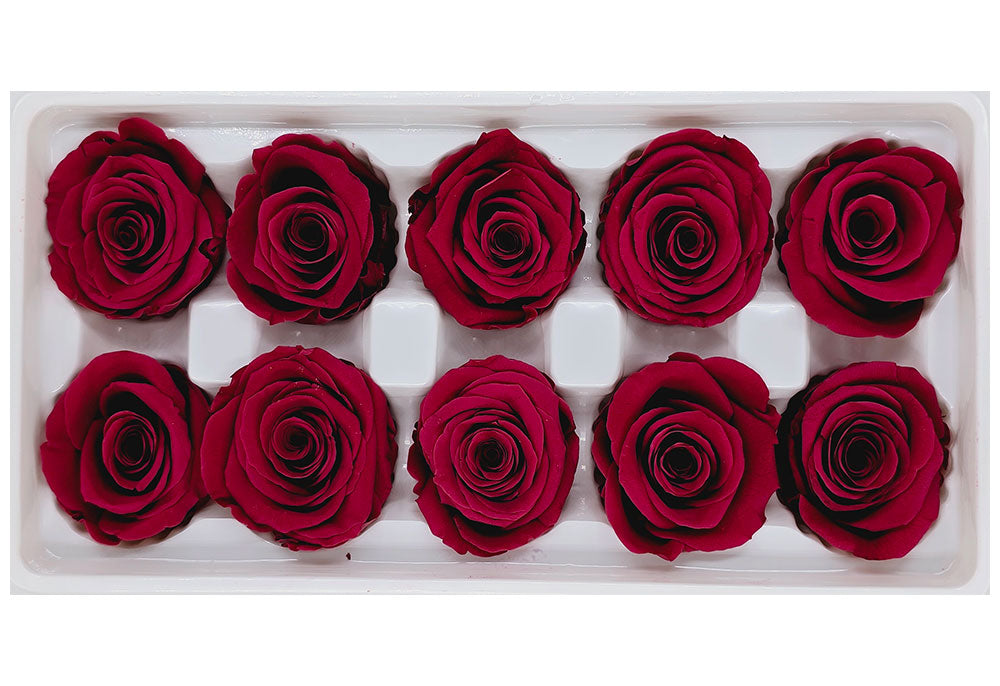 10 Preserved Roses In A Box - Tea Red