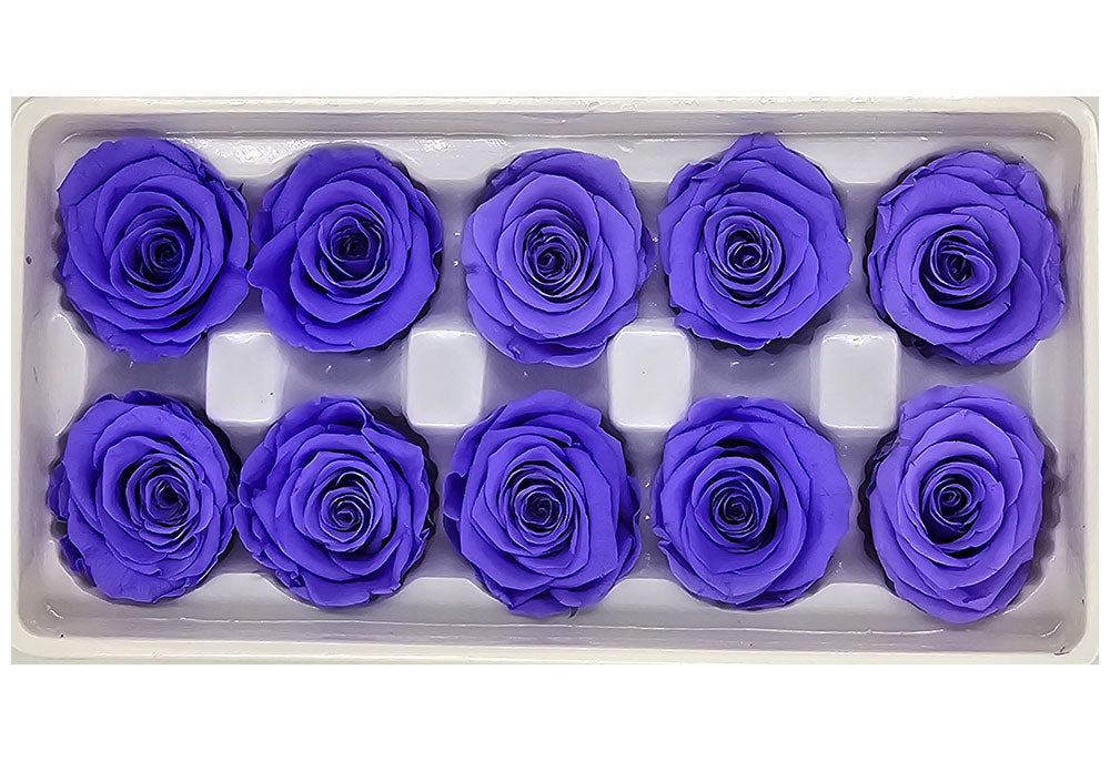 10 Preserved Roses In A Box - Violet