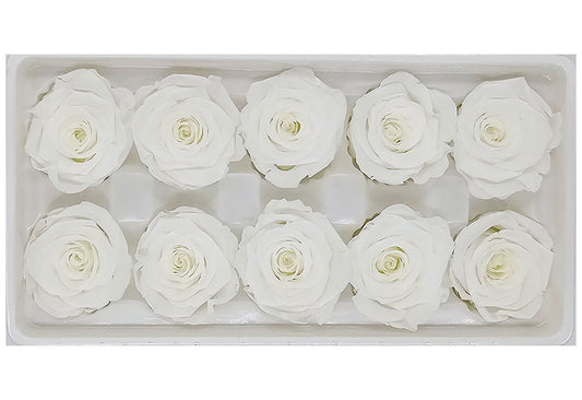 10 Preserved Roses In A Box - White