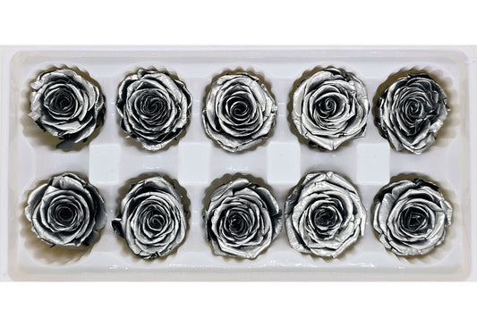 10 Preserved Roses In A Box - Satin Silver Colour