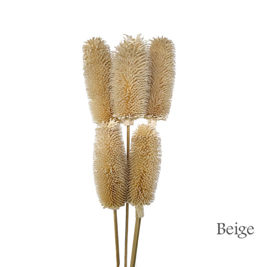 Dried Handmade Thistle Flower #HF32