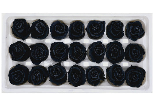 21 Preserved Roses In A Box - Black