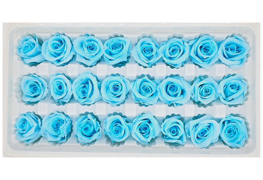 21 Preserved Roses In A Box - Blue