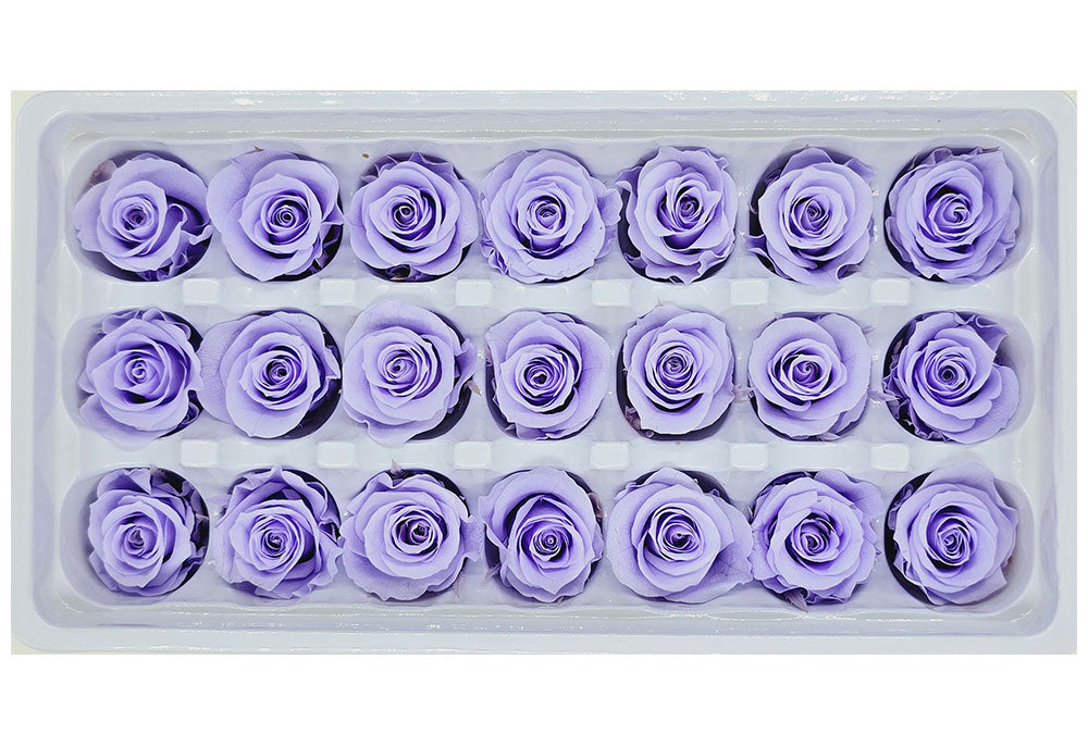 21 Preserved Roses In A Box - Bluish Purple