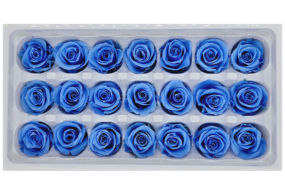 21 Preserved Roses In A Box - Bright Blue