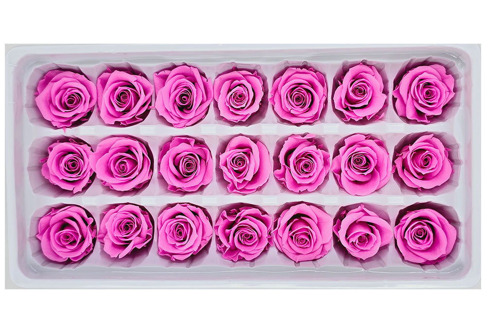 21 Pink Roses Wholesale Preserved Roses | 21 Roses In A Box - Bright Pink Colour ...