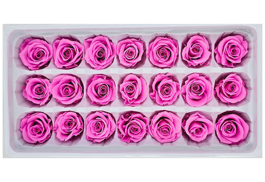 21 Preserved Roses In A Box - Bright Pink