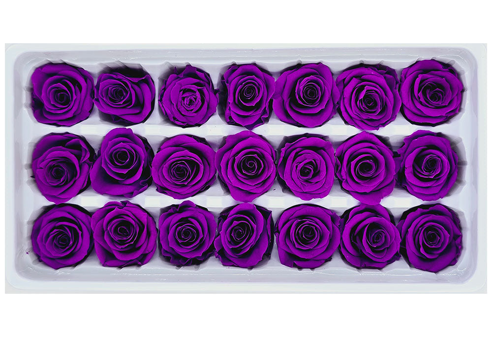 21 Preserved Roses In A Box - Bright Purple