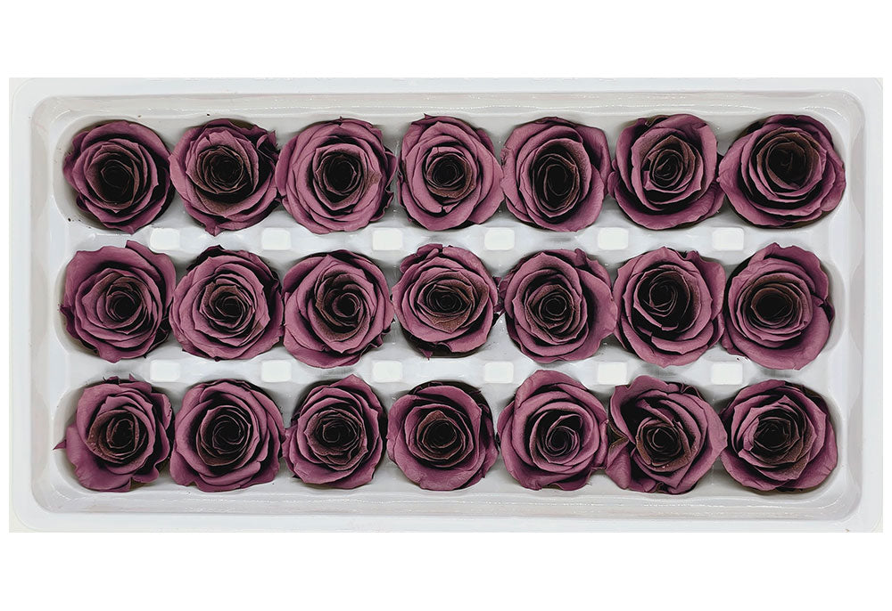 21 Preserved Roses In A Box - Browish Purple