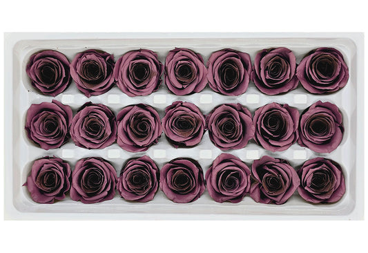 21 Preserved Roses In A Box - Browish Purple