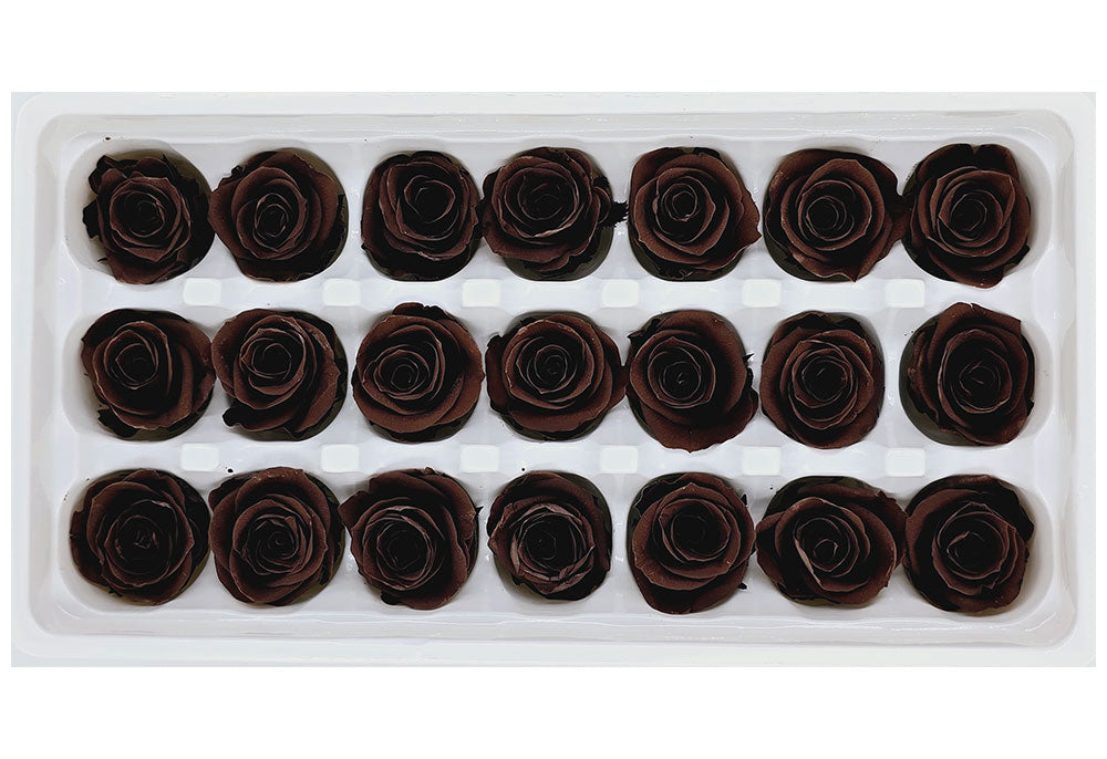 21 Preserved Roses In A Box - Dark Brown