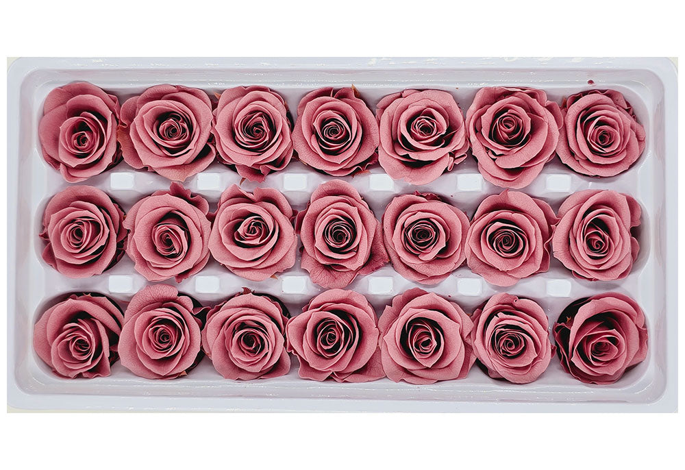 21 Preserved Roses In A Box - Dark Dusty Pink