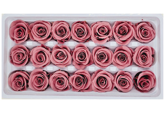 21 Preserved Roses In A Box - Dark Dusty Pink