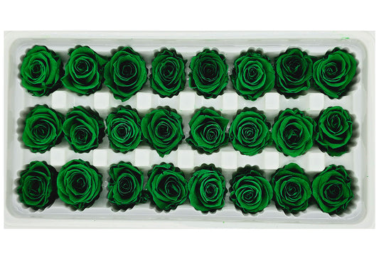 21 Preserved Roses In A Box - Dark Green