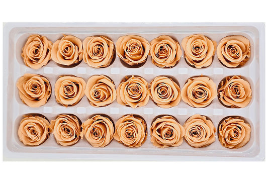 21 Preserved Roses In A Box - Dark Peach